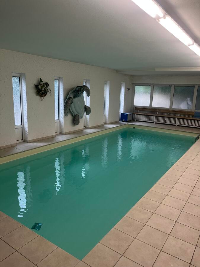 Privates Schwimmbad der Flossenclub Schwimmschule in Dietzenbach